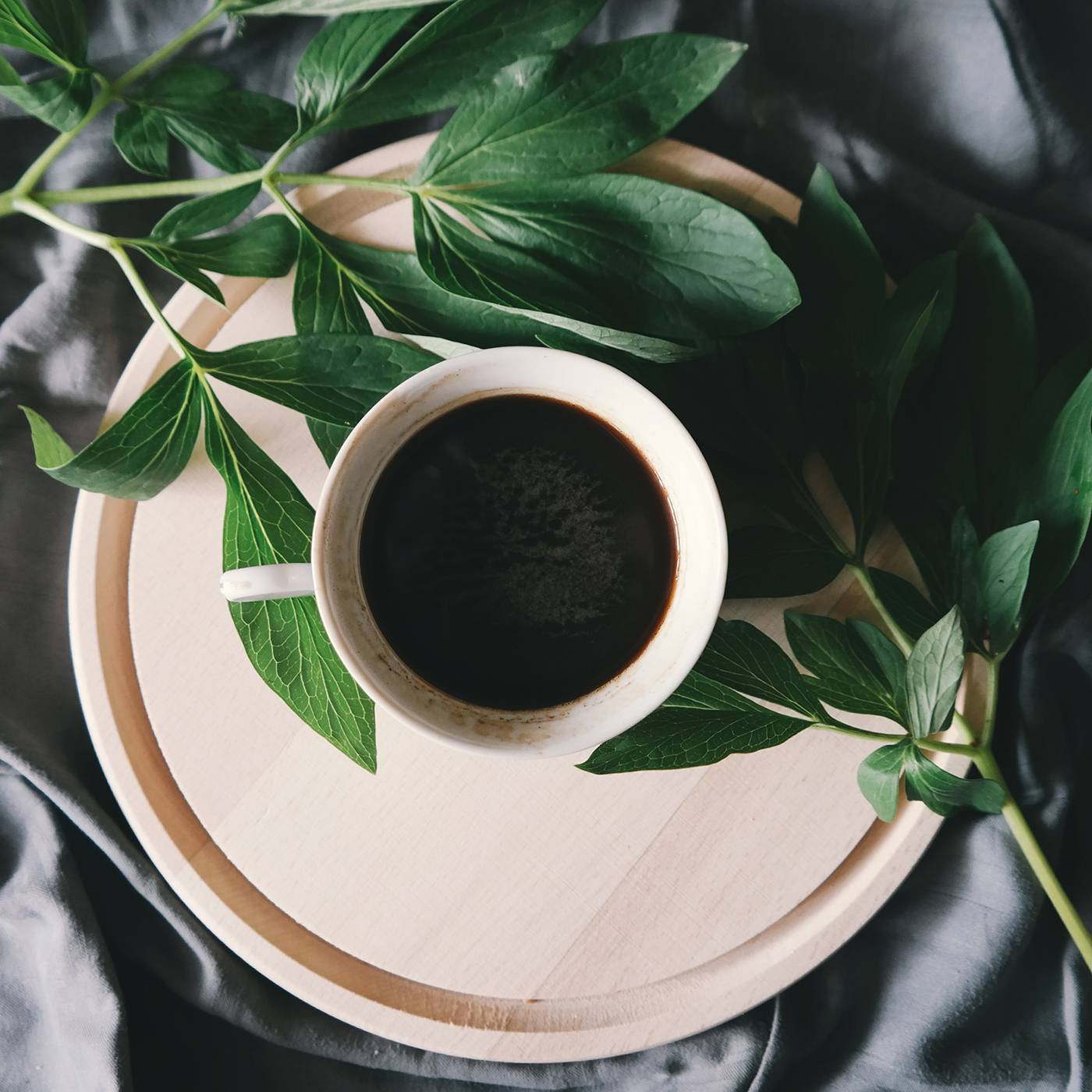 Arabica Coffee Beans PH Home of Philippines Finest Coffees