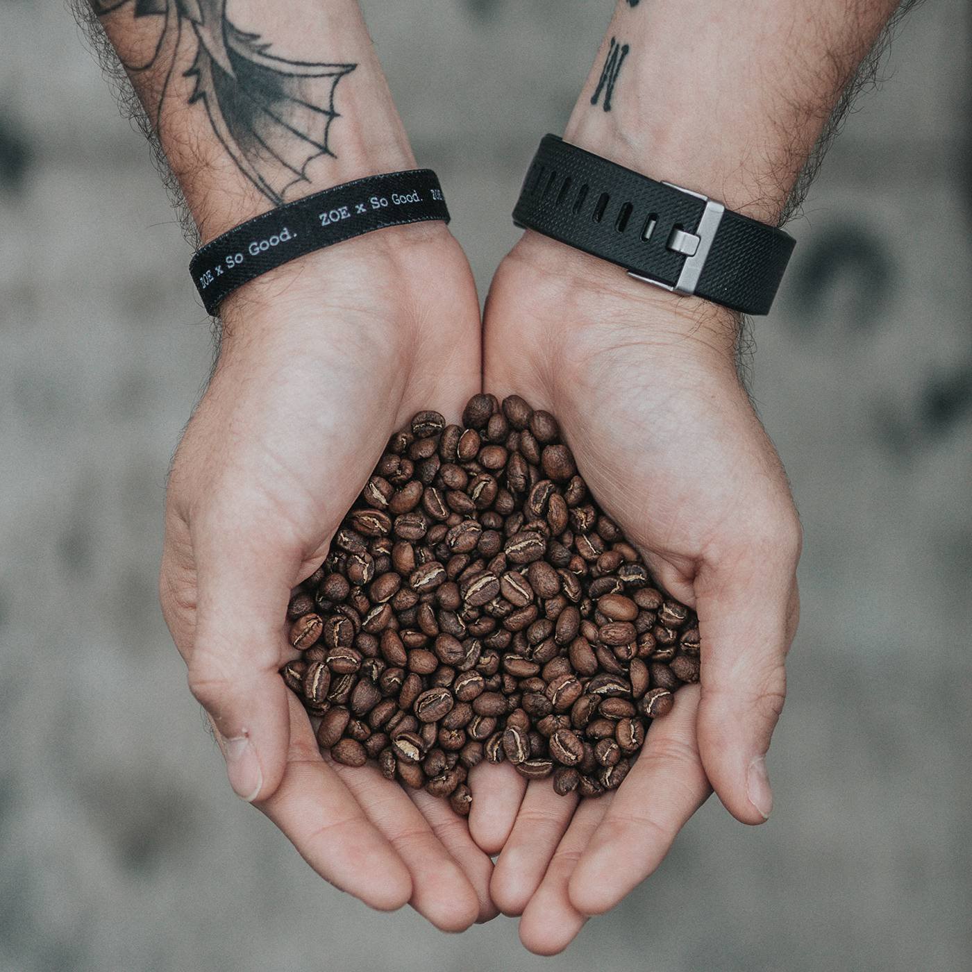 Robusta Coffee Beans PH Home of Philippines Finest Coffees