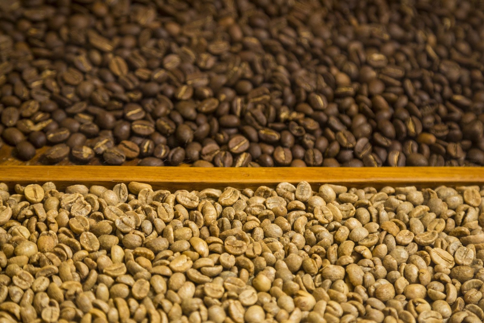Arabica Robusta