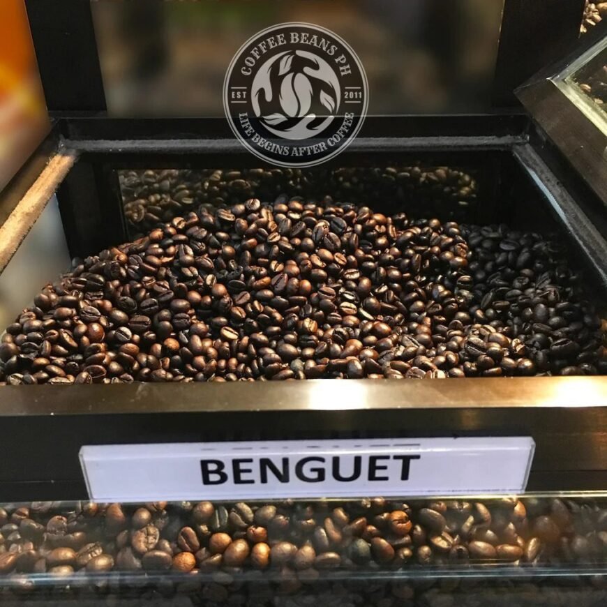 Benguet Arabica