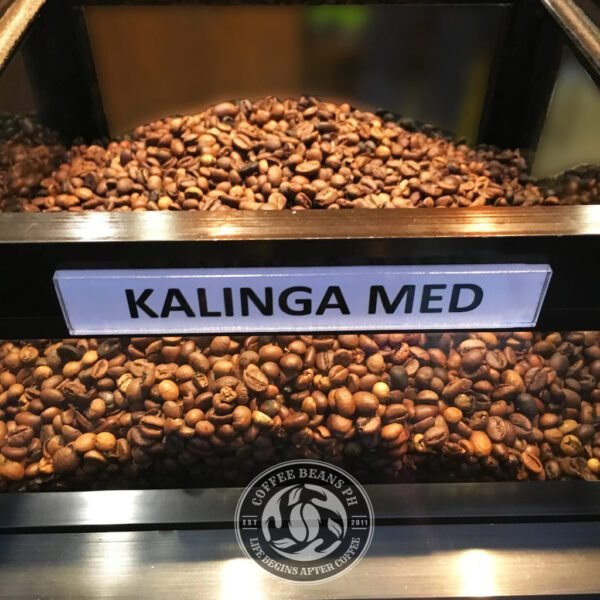Kalinga arabica medium