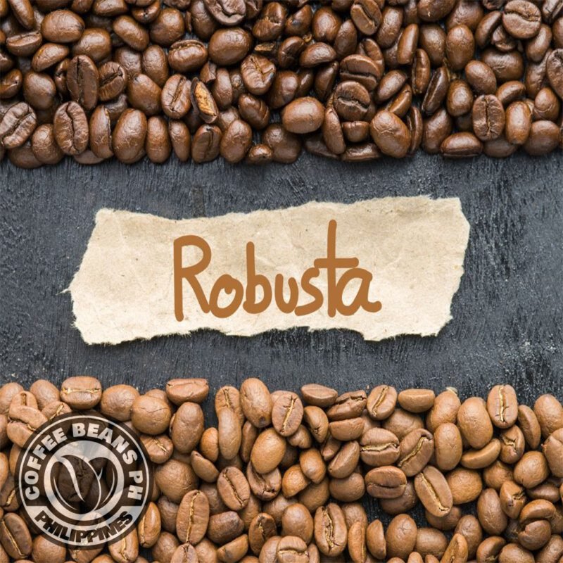 Wholesale 5 Kgs Robusta Beans or Ground Coffee