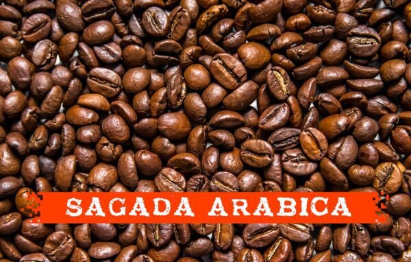 Sagada Arabica