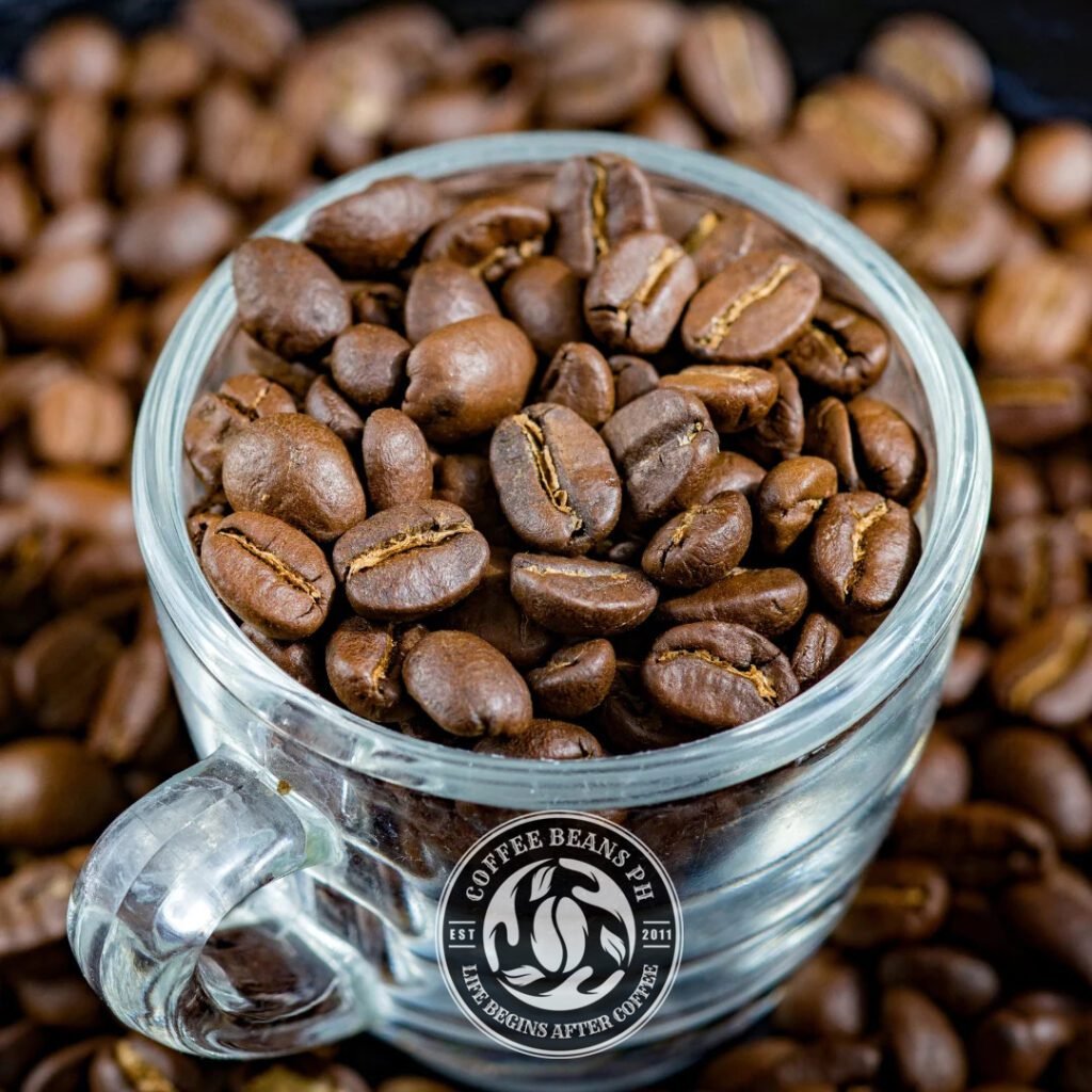 arabica beans in a cup