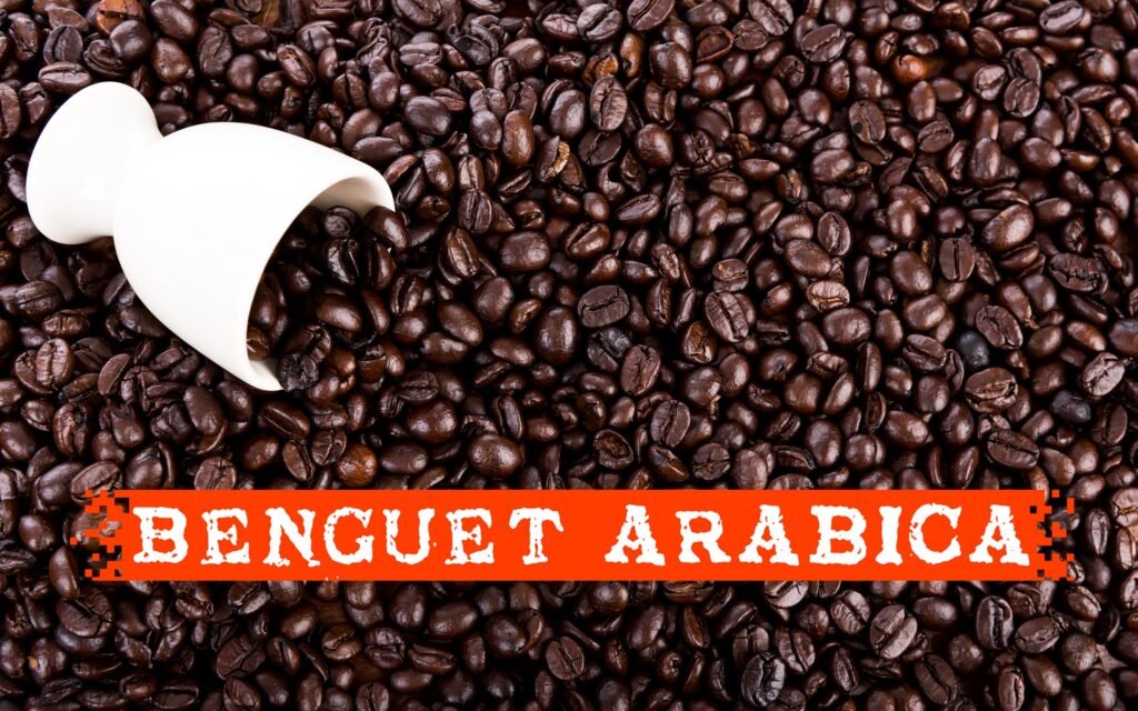 Benguet Arabica