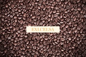 excelsa beans