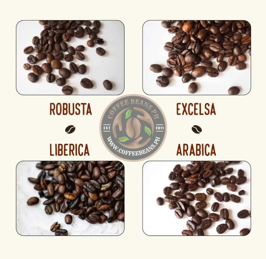 Type of Coffee Beans
