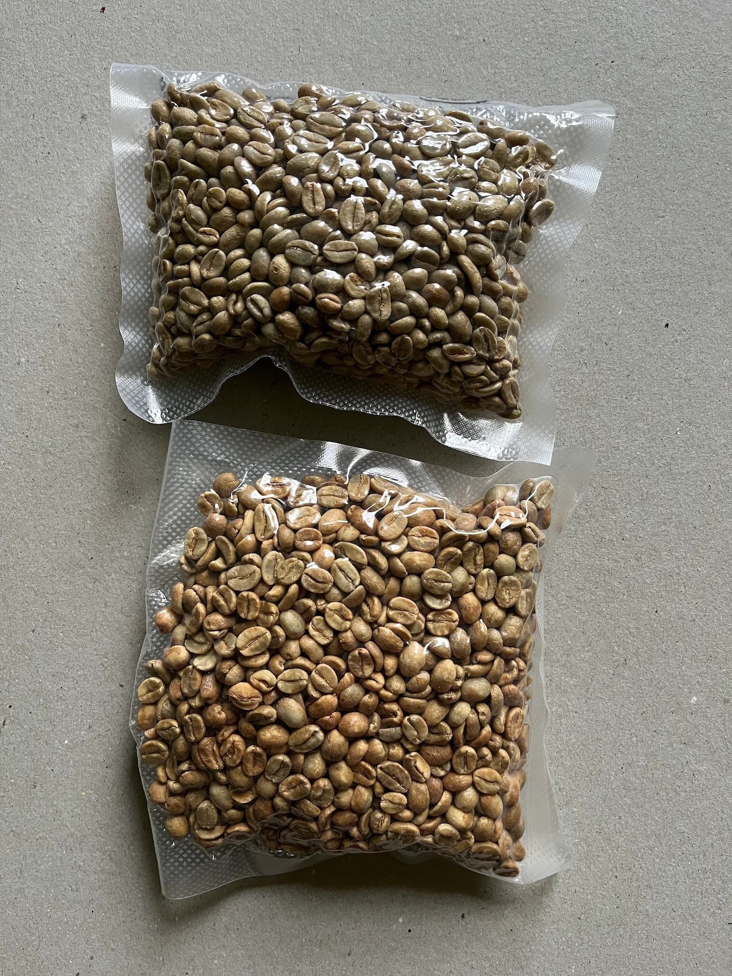 Robusta Green Coffee Beans Raw GCB S18 Clean Washed - Image 4