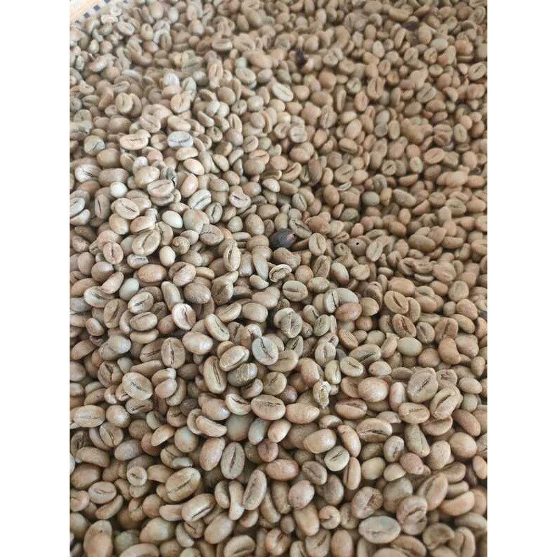 Wholesale 3kgs Robusta Green Coffee Beans Raw GCB S18 Clean Washed - Image 7